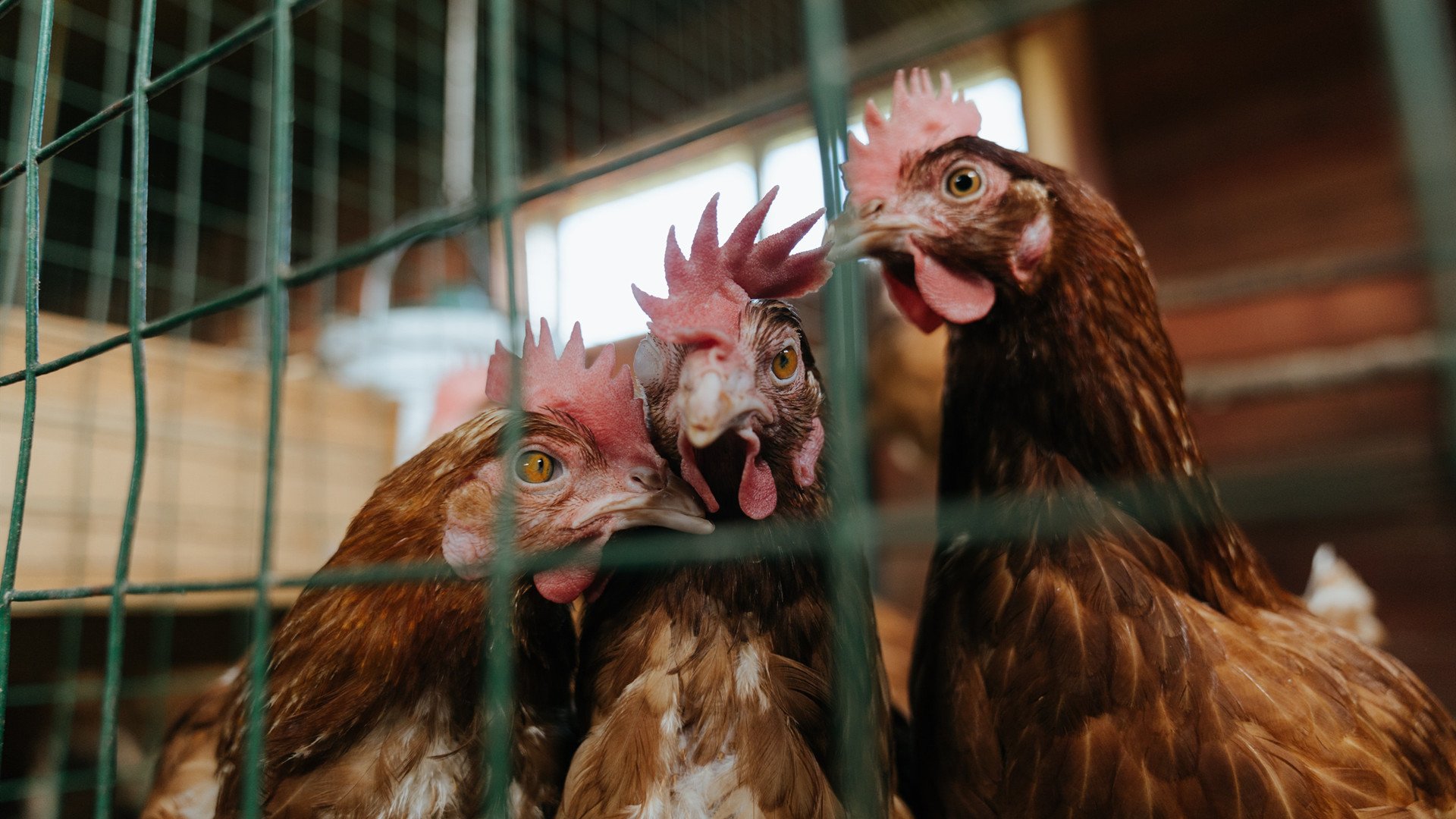 KAIYUNAPP-以“体育+旅游”融合发展新模式推动地方经济振兴，关于推进体育旅游融合发展的合作协议