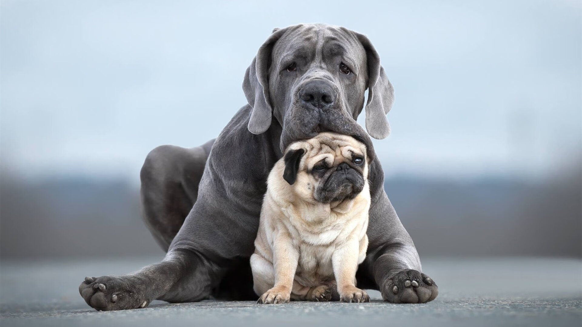 历史回望:那些年我们一起追过的NBA经典战役,nba有哪些经典的比赛