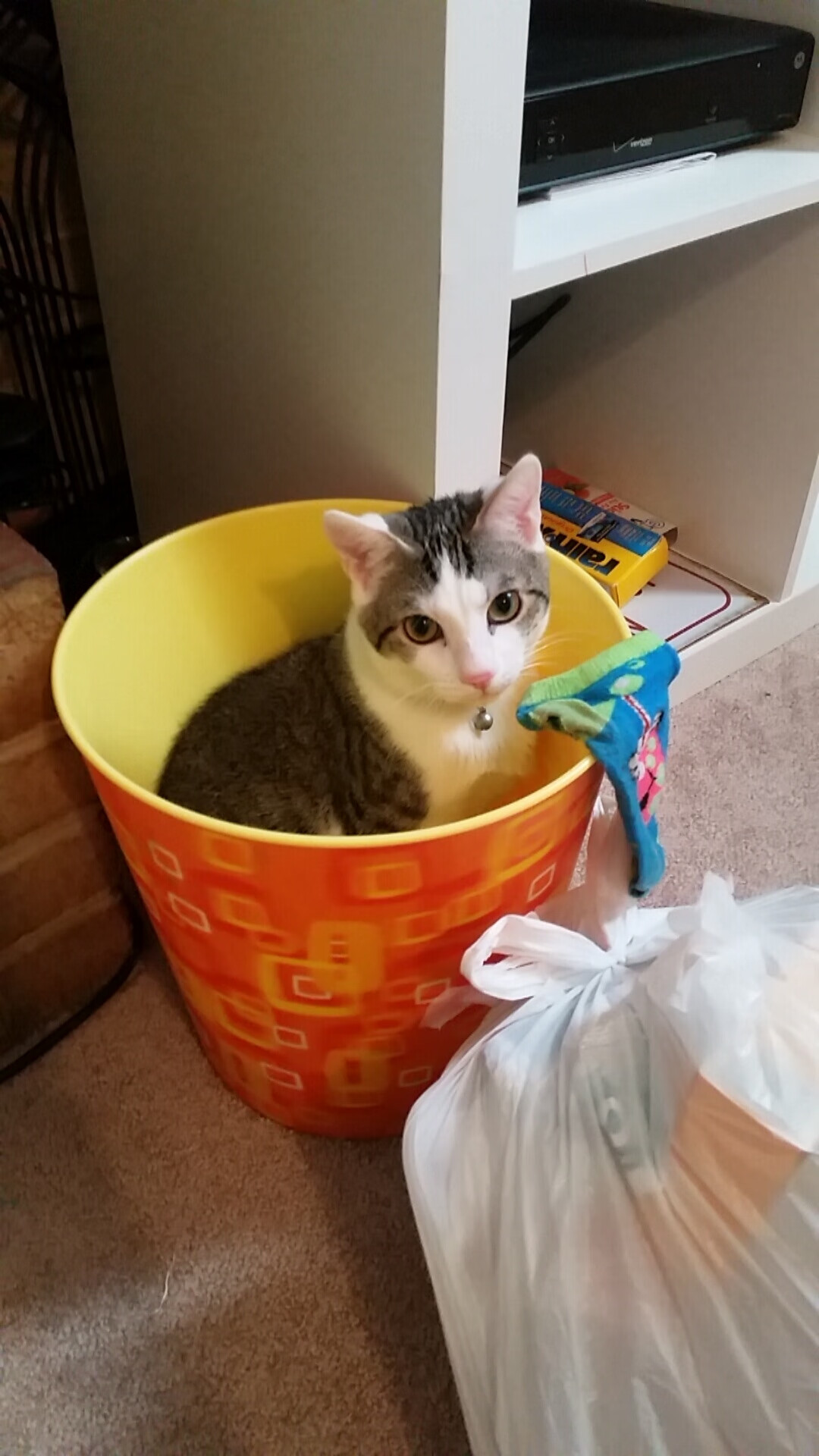 开云·体育官网-英格兰男足进军奥运四强，历史性突破，英格兰国家男子足球