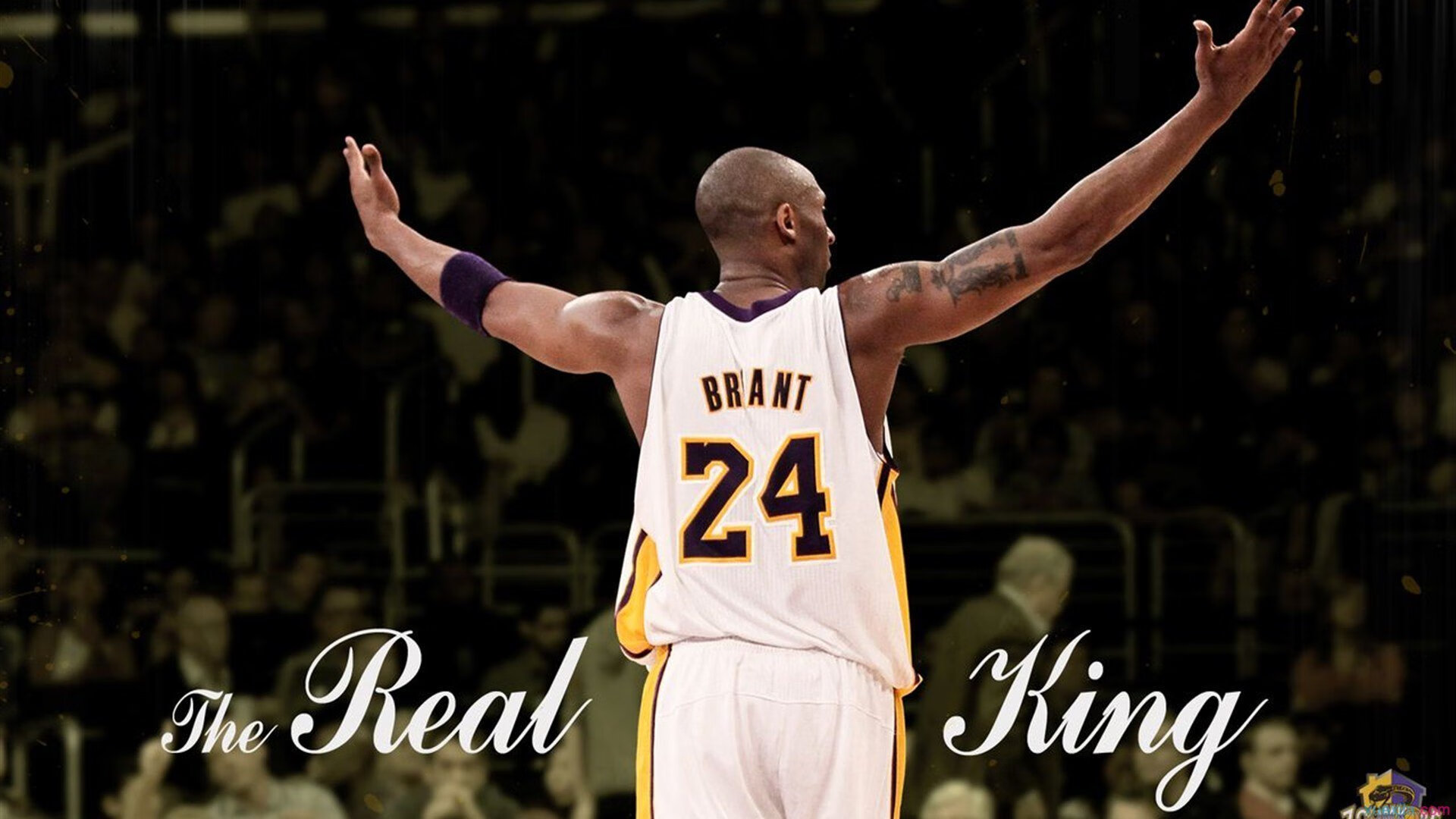 开云官网首页-赛场上的“光影魔术”——用镜头捕捉瞬间的奇迹景象，光影魔术什么意思