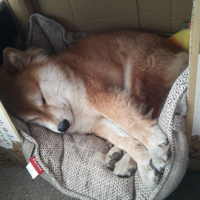 kaiyun.com-马刺主场打造沉浸式入场仪式，现场气氛拉满，马刺主场音乐