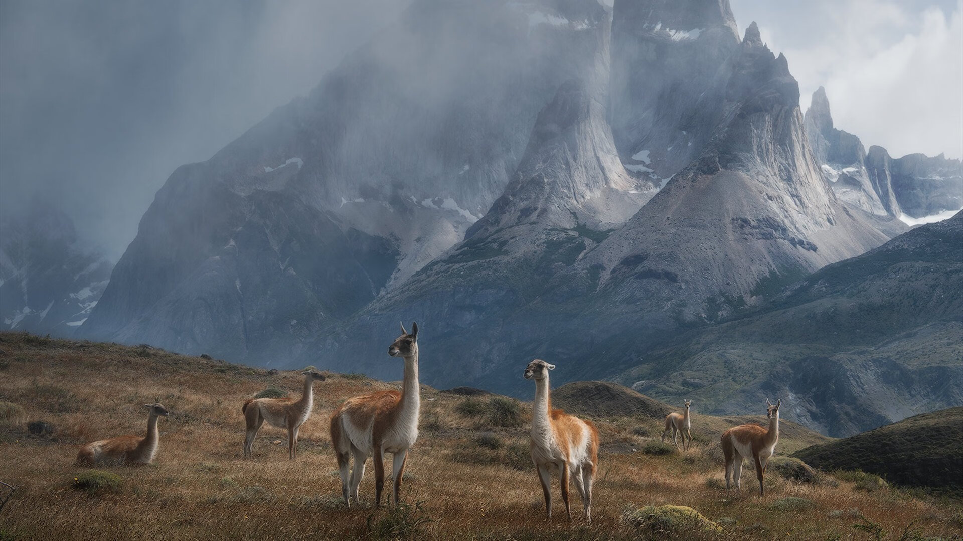 开云网页版-上海海港锋线表现助力连胜，上海海港队2021赛程表