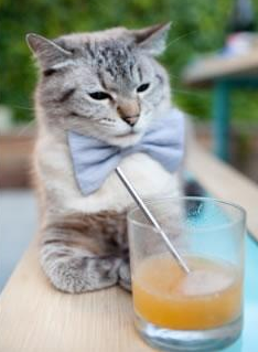 开云体育中国官网-勒沃库森主场3-0战胜云达不莱梅，继续领跑德甲，勒沃库森最新转会