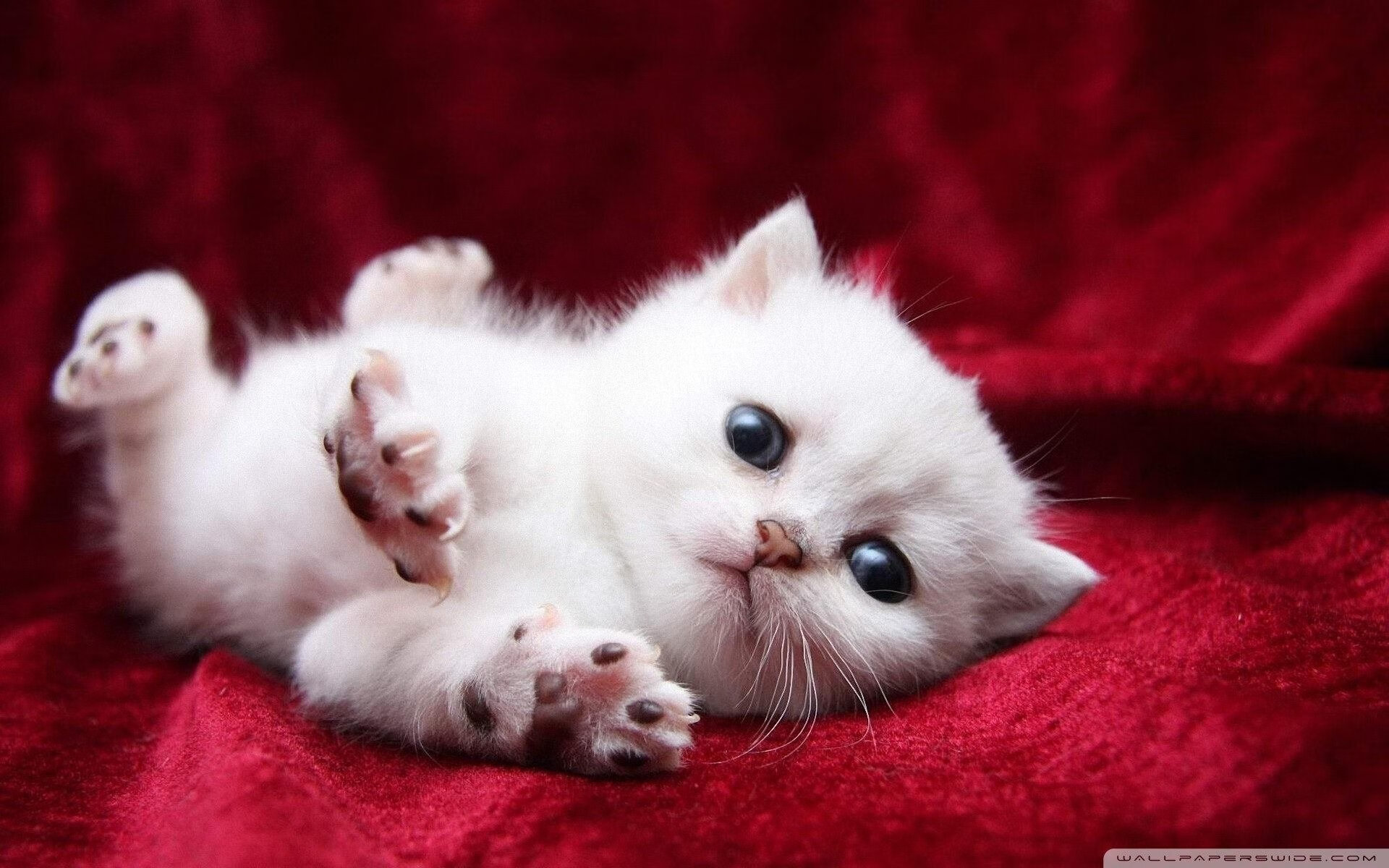 开云官网在线-江苏豪取连胜，全队士气高昂气势如虹！，江苏zgl队