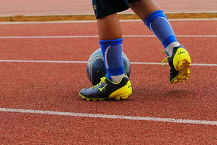 开云网页版-篮球运动员心理健康支持体系构建，篮球运动员心理健康支持体系构建方案