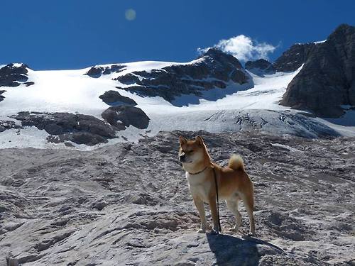 开云在线直播-拉恩：凭借惊人的加速能力，成为全黑队外线的最大威胁，拉恩卡在哪