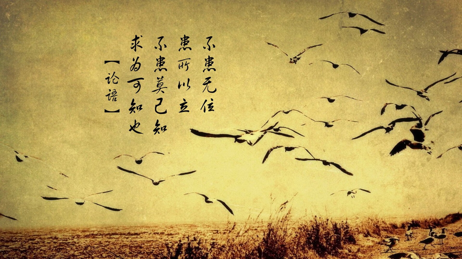 kaiyun中国官方网站-法国新星崭露头角，未来无限可能