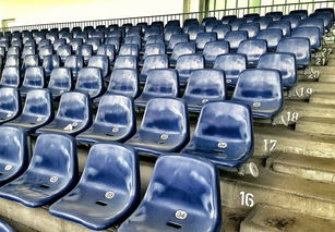 KAIYUNAPP-竞彩市场火热，足球预测分析工具受追捧，竞彩足球预测推荐