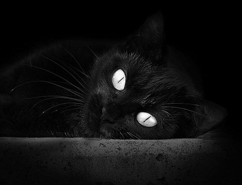 开云·体育官方网站入口-达里尔·基：全黑队防线的“防守核心”，他总能在关键时刻化解对方进攻威胁